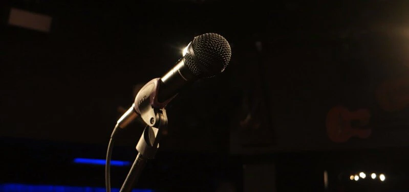 dynamic studio mic