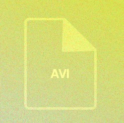 avi video format