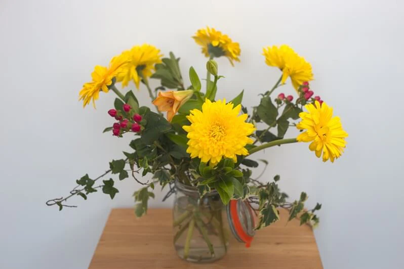 image of flowers with umbrella lighting