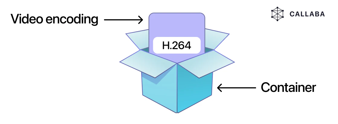 codec vs container diagram