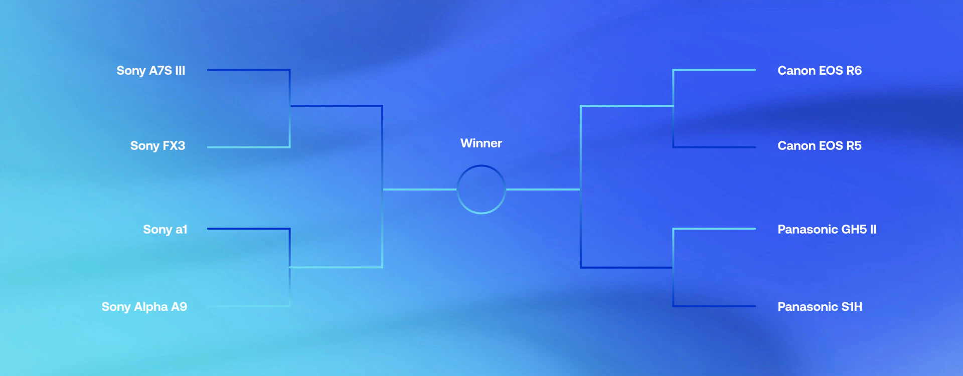 mirrorless camera tournament
