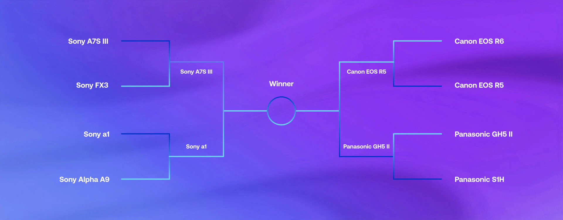 round 2 mirrorless camera showdown