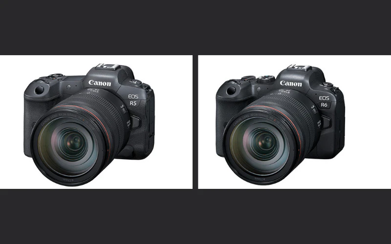 canon r5 vs canon r6