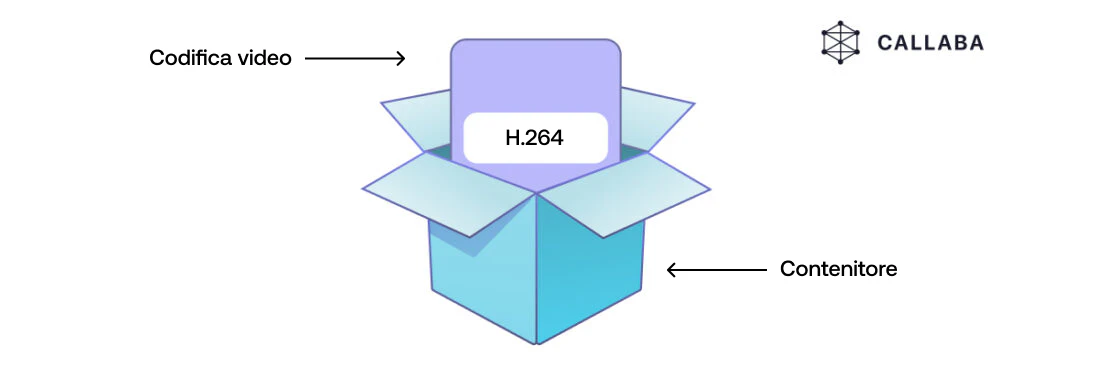 Codec vs. container