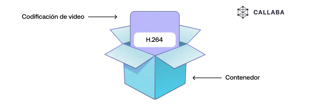 Codec vs. Contenedor