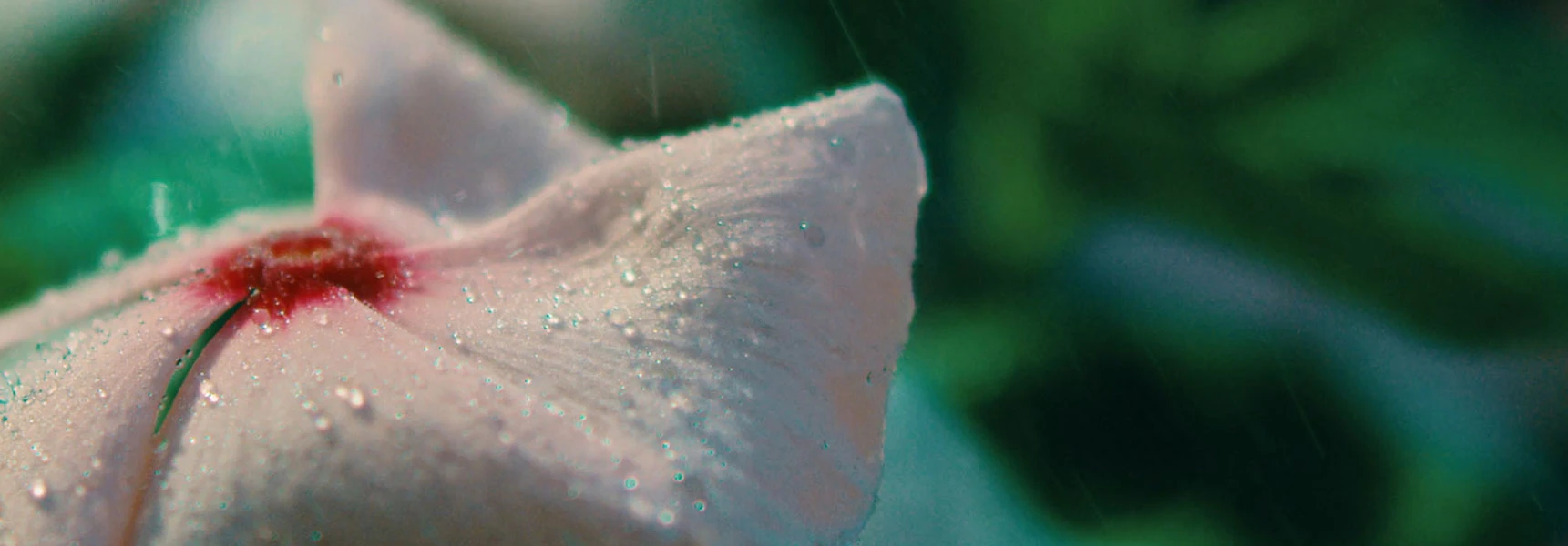 Bring spring to life with Artlist’s ultimate SFX collection